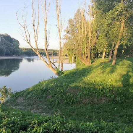 Villa Pertini Appartamento Primo Piano Nel Parco Oglio Sud Canneto sull'Oglio Buitenkant foto
